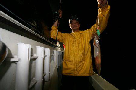 オーシャンズ　京都 釣果