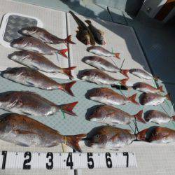 遊漁船 幸友丸 釣果