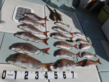 遊漁船 幸友丸 釣果