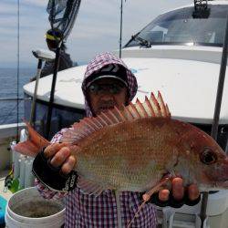 遊漁船　ニライカナイ 釣果