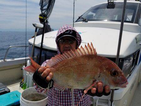 遊漁船　ニライカナイ 釣果