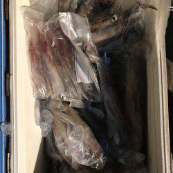 寿裕 （YOSHIHIRO） 釣果