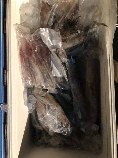 寿裕 （YOSHIHIRO） 釣果