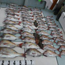 遊漁船 幸友丸 釣果