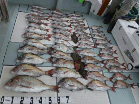 遊漁船 幸友丸 釣果