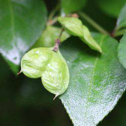 小菅トラウトガーデン 釣果