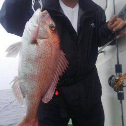 遊漁船 新鋭丸 釣果