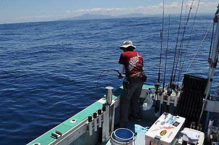 八海丸 釣果