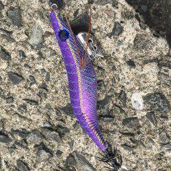 そろそろアオリが釣りたい。