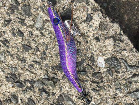 そろそろアオリが釣りたい。