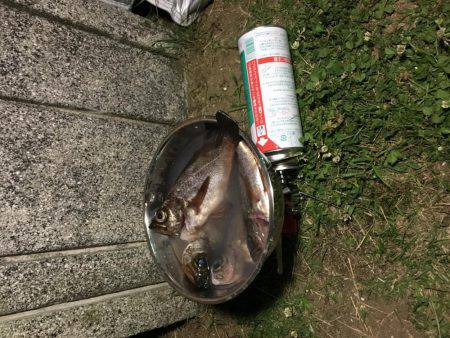 マラソン と釣り旅行