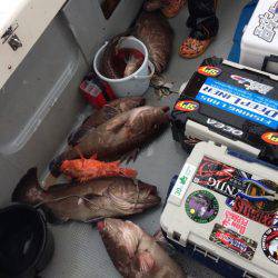 Blue.win 海人丸 釣果