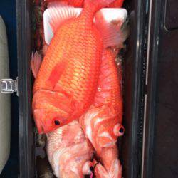 Blue.win 海人丸 釣果