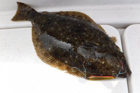 BlueNote Fishing Taxi 釣果