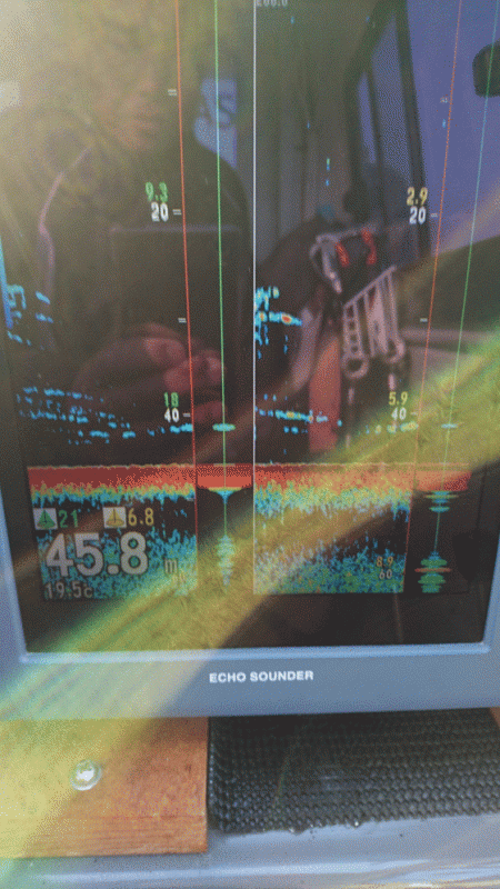 遊漁船ブルーウッズ 釣果