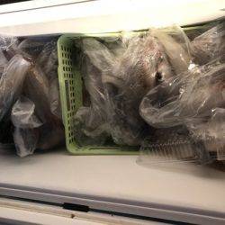 寿裕 （YOSHIHIRO） 釣果