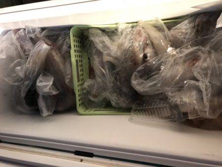 寿裕 （YOSHIHIRO） 釣果