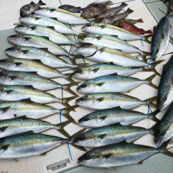 ふじしめ丸 釣果