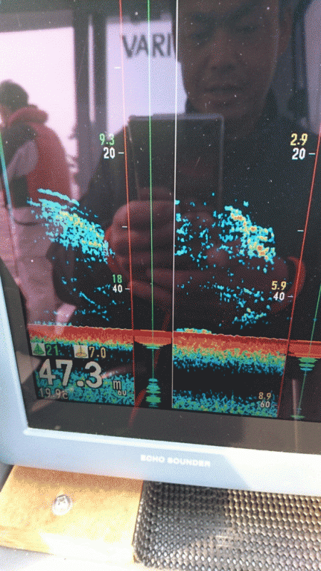 遊漁船ブルーウッズ 釣果