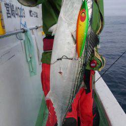 遊漁船 新鋭丸 釣果