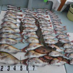 遊漁船 幸友丸 釣果