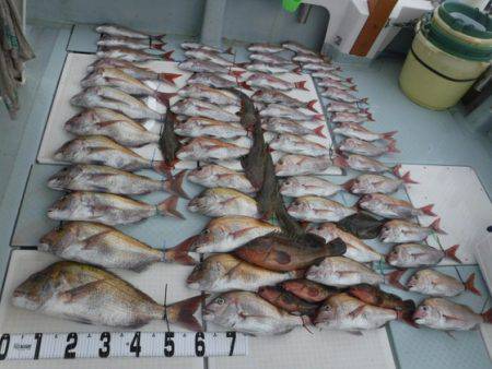 遊漁船 幸友丸 釣果