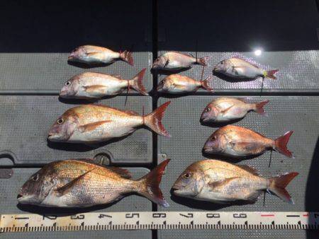 遊漁船高橋 釣果