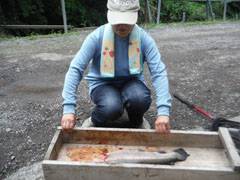 すそのフィッシングパーク 釣果