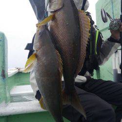 遊漁船 新鋭丸 釣果