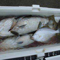 大進丸(新潟) 釣果