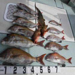 遊漁船 幸友丸 釣果