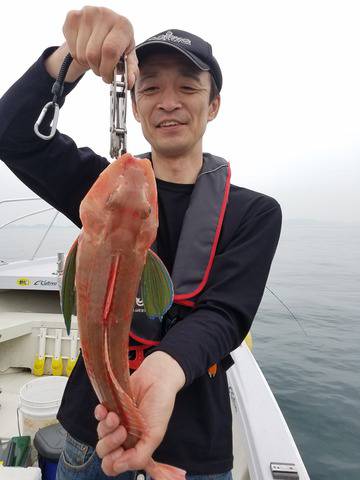 遊漁船　ニライカナイ 釣果
