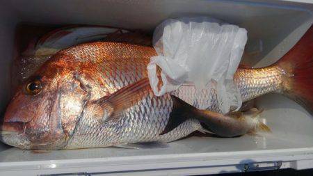 遊漁船 新鋭丸 釣果