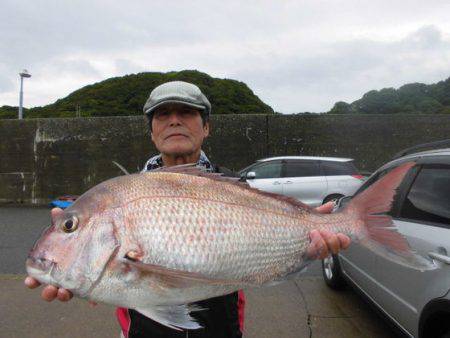 大進丸（新潟） 釣果