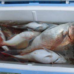 大進丸(新潟) 釣果