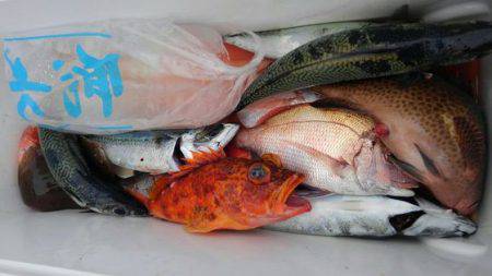 遊漁船 新鋭丸 釣果