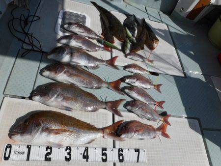 遊漁船 幸友丸 釣果