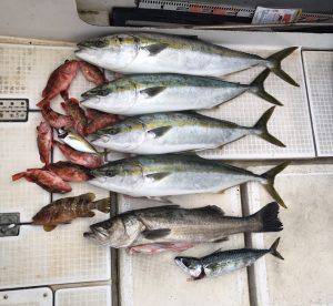 さぶろう丸 釣果