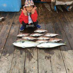 由良海上釣り堀 海人 釣果