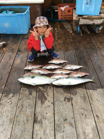 由良海上釣り堀 海人 釣果