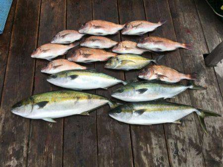 由良海上釣り堀 海人 釣果