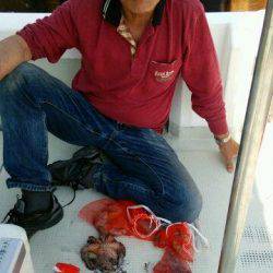 釣り船くわだ 釣果