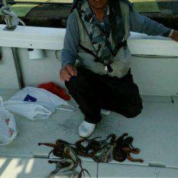 釣り船くわだ 釣果