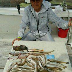 釣り船くわだ 釣果