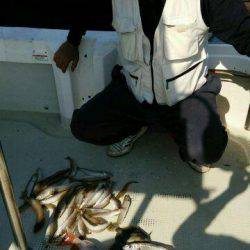 釣り船くわだ 釣果