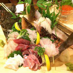 フィッシングボートACE(エース) 釣果