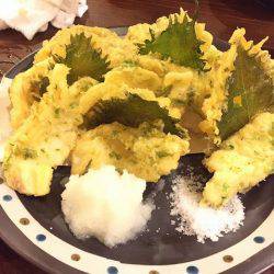 フィッシングボートACE(エース) 釣果