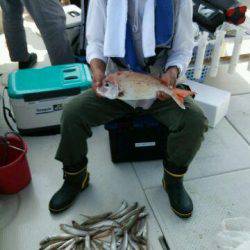 釣り船くわだ 釣果