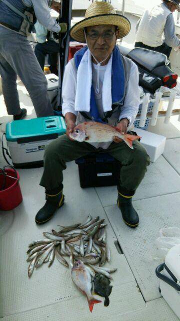 釣り船くわだ 釣果