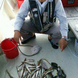 釣り船くわだ 釣果